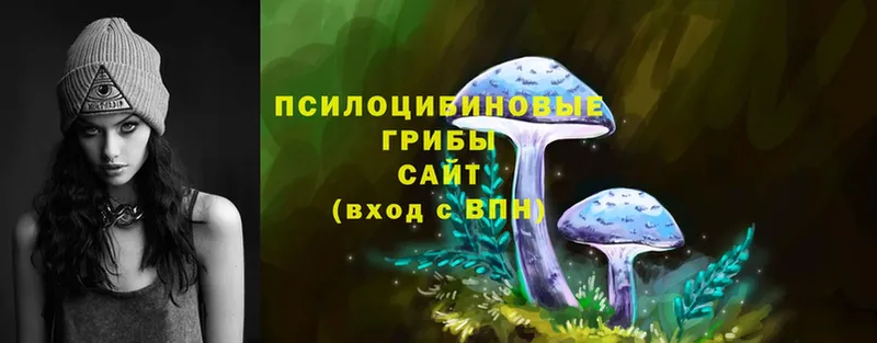 Галлюциногенные грибы Psilocybine cubensis Багратионовск